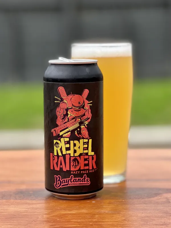 Rebel Raider