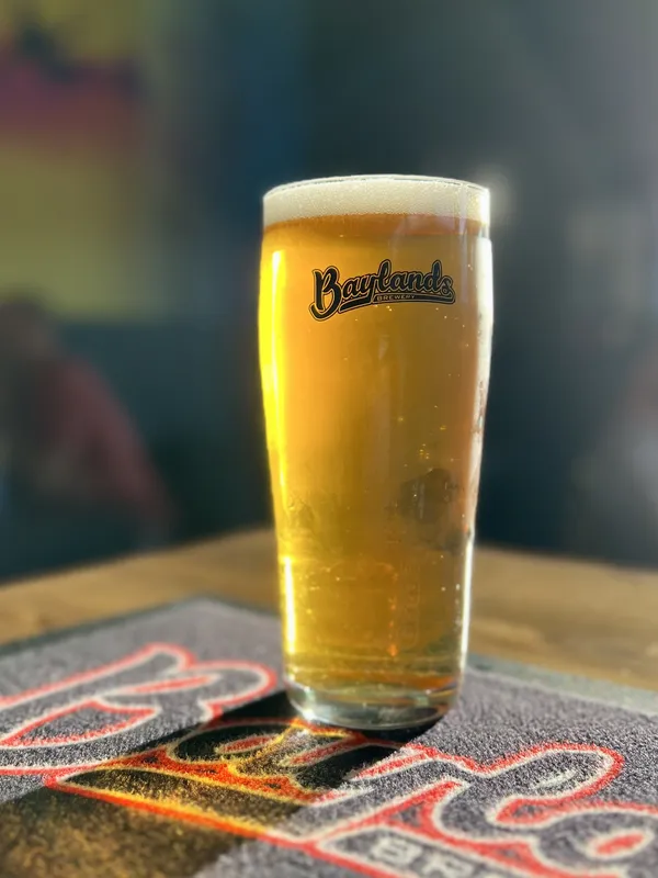 Waifly 9 Fresh Hop IPA