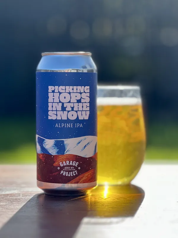 Picking Hops In the Snow
