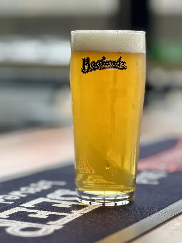 Powder Plunge IPA