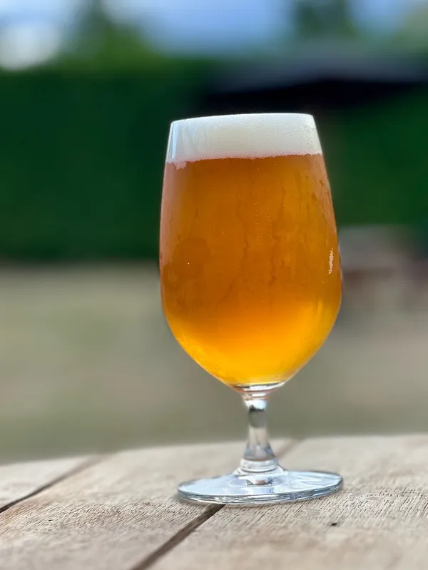 BIG Sur - West Coast IPA