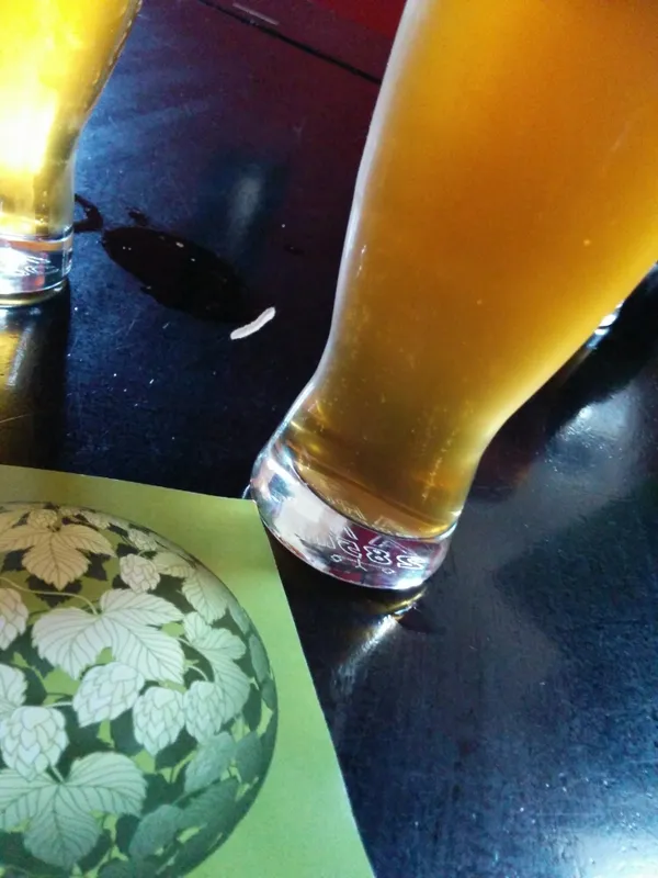 Fresh Hop IPA