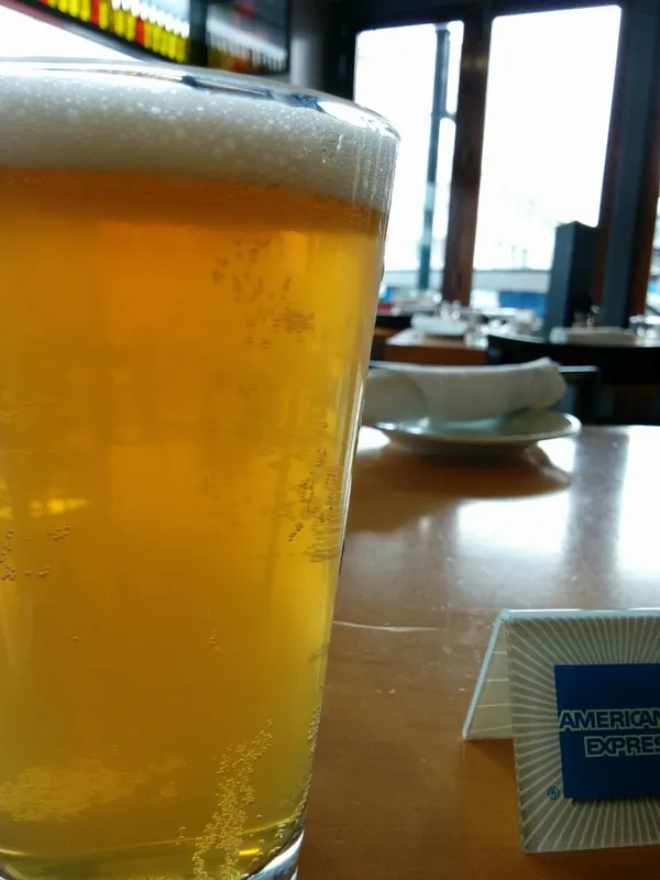 No.7 Maximus IPA