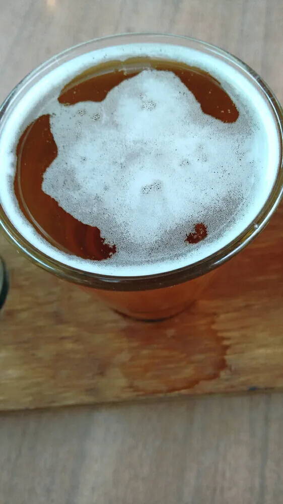 Wayfarer IPA