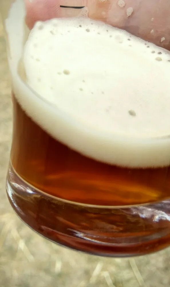 Juniper IPA