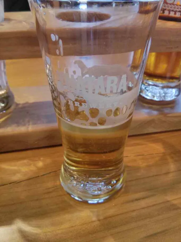 Tuatara Pilsner
