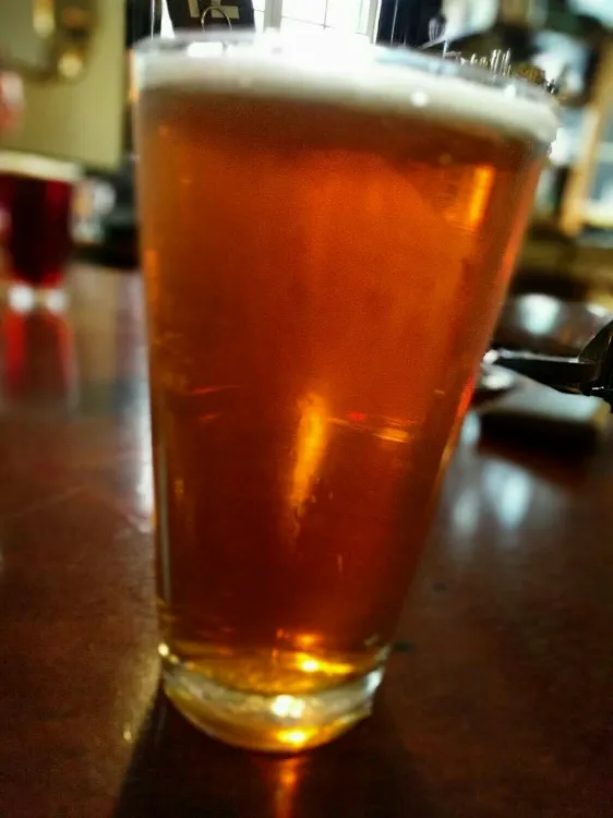 Conehead Air Hopped IPA