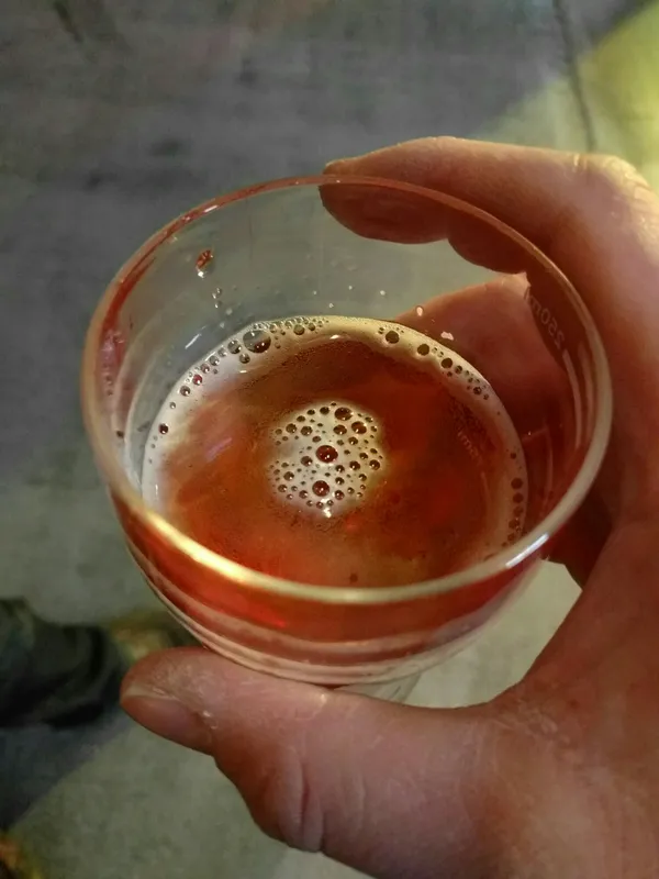 Grapefruit IPA