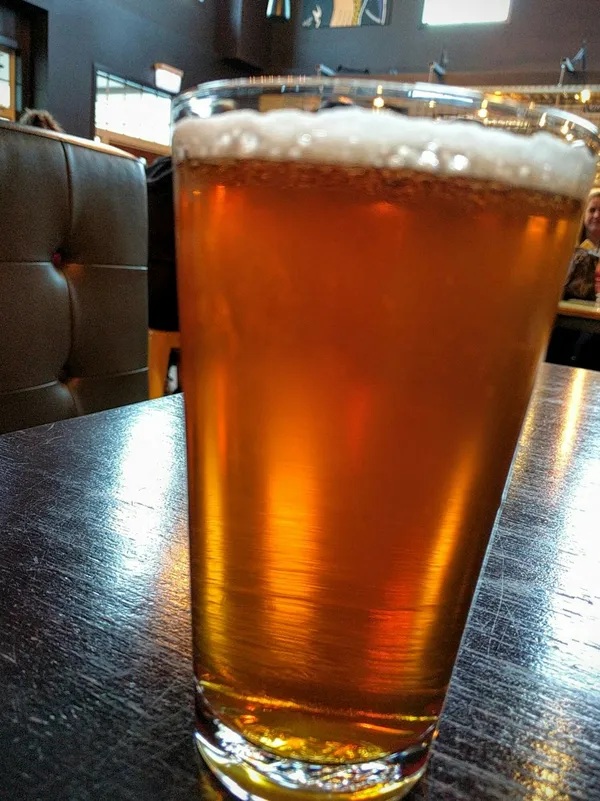 Singletrack IPA - Amarillo Edition