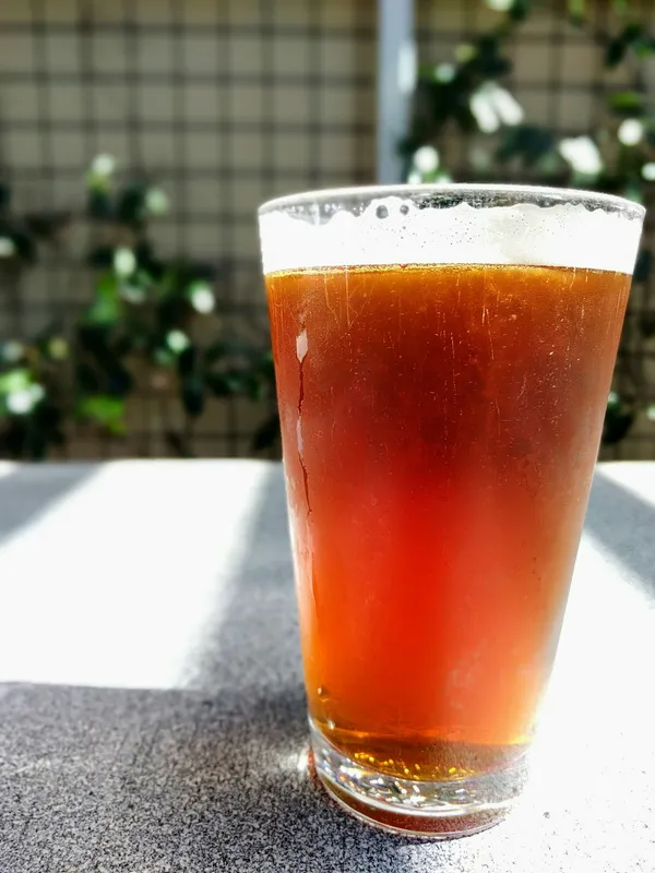 Hopical (Tropical Pale Ale)