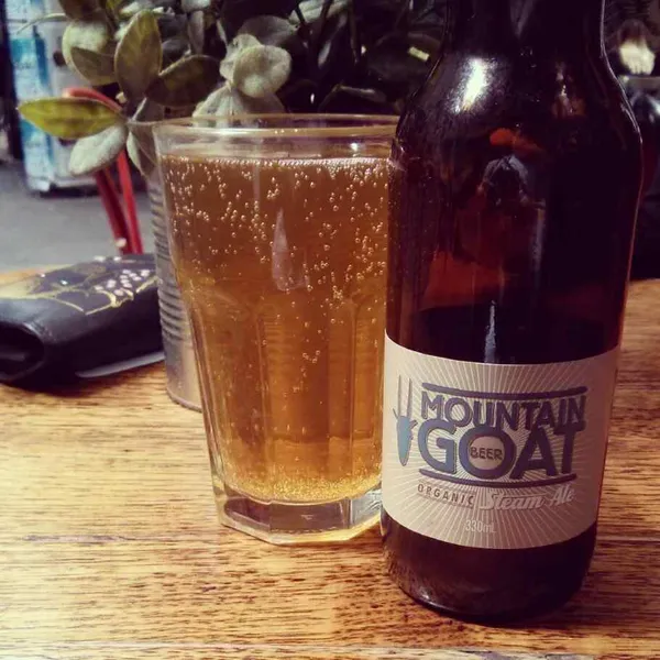 Steam Ale