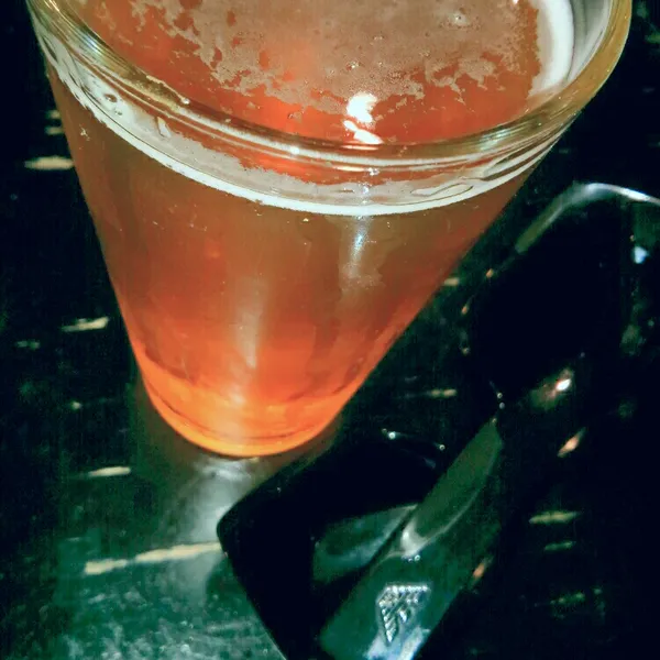 Singletrack IPA - Orbit edition (2013)