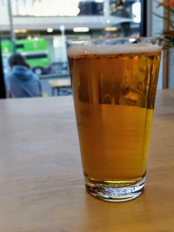 Satellite Grapefruit APA
