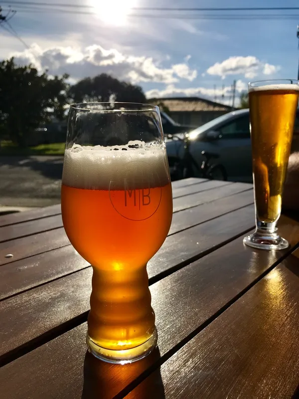 Fresh Hop Fiend 2019 (Verse Hop Duivel)