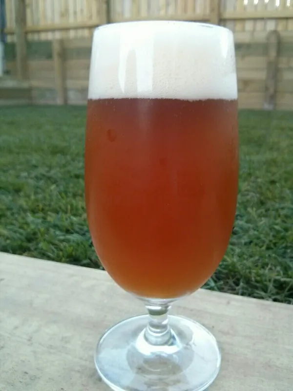 Shady Acres American Pale Ale