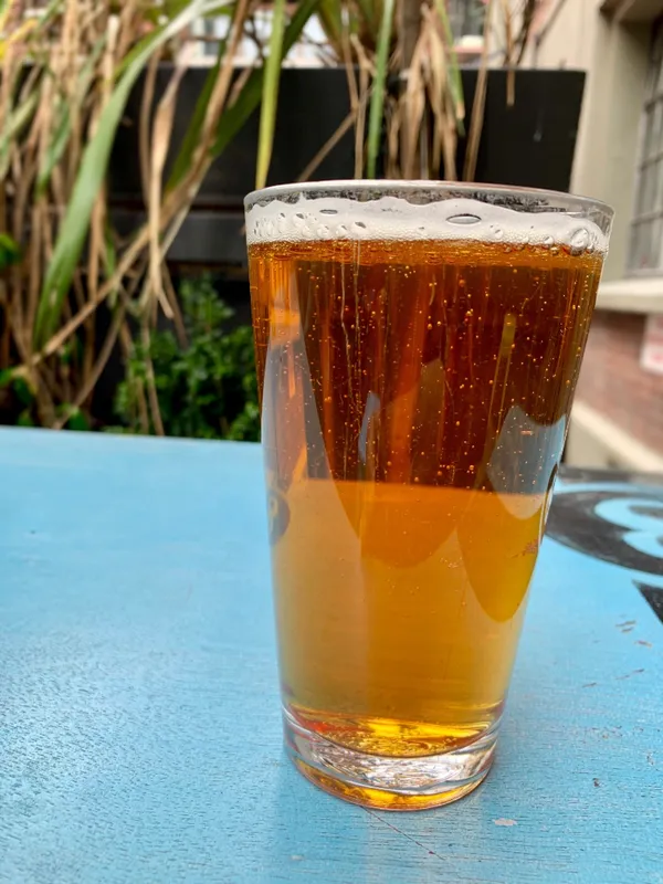 Shredded IPA