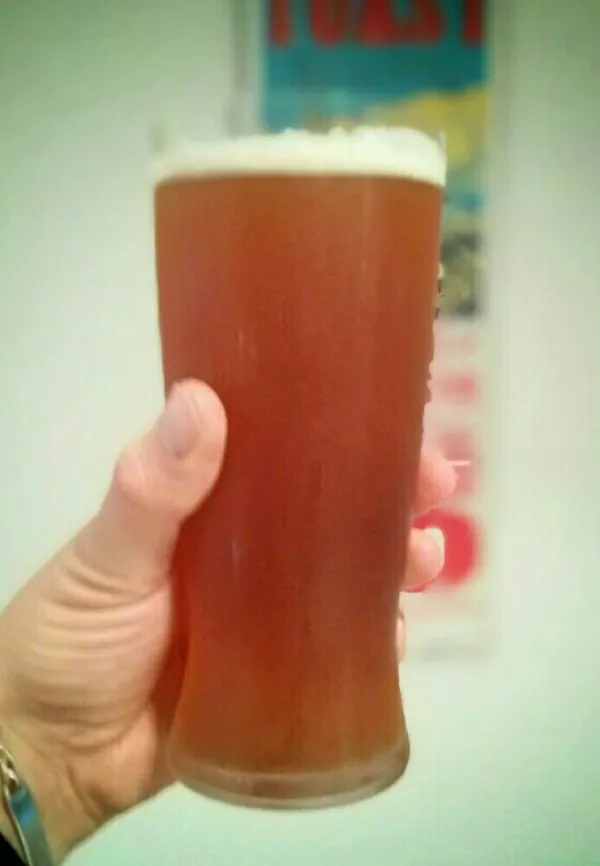 Chinook Citra Pale Ale
