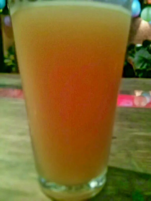 Hopwit IPA