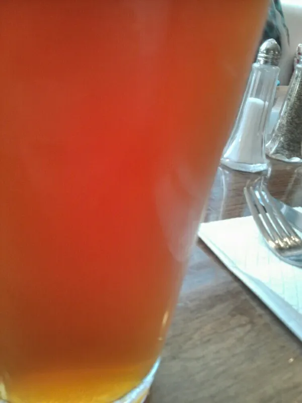 Five Hop English Ale