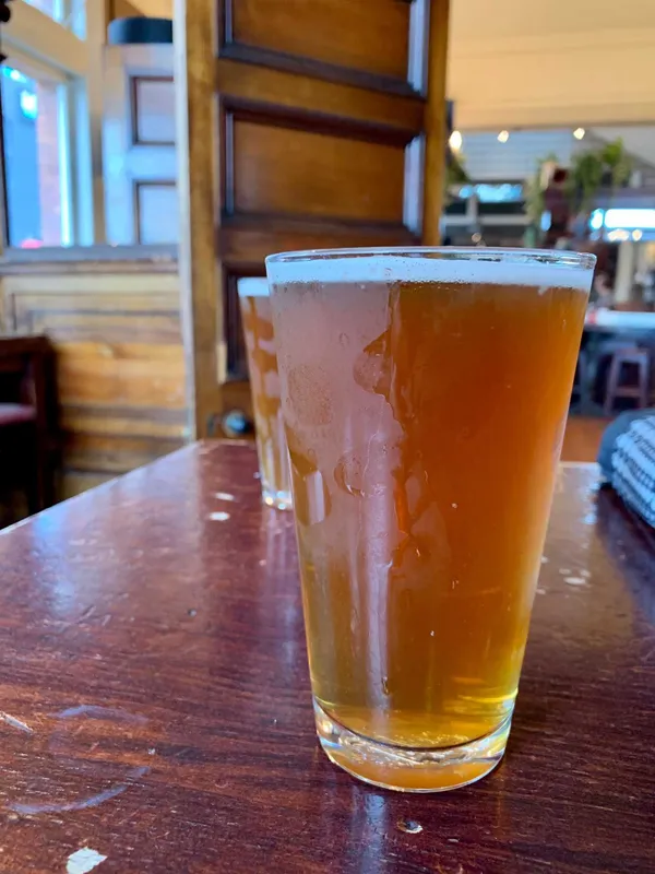Nelson Single-hopped IPA