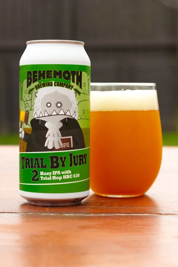 Trial By Jury #2 HBC 630 - Hazy IPA