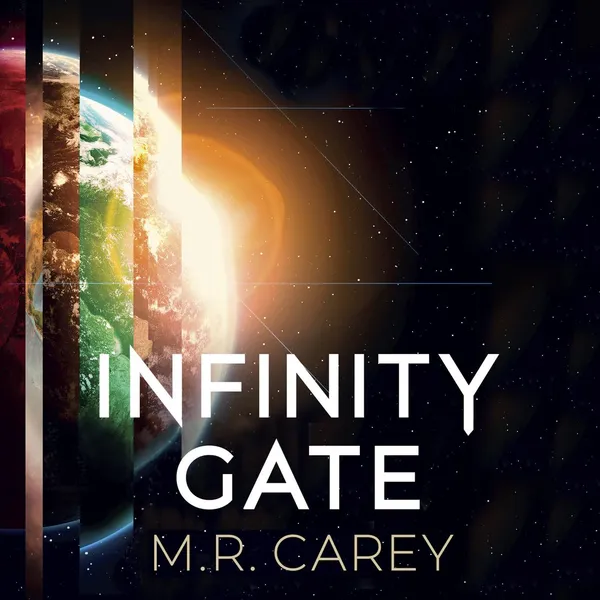 Book Cover for Infinity Gate