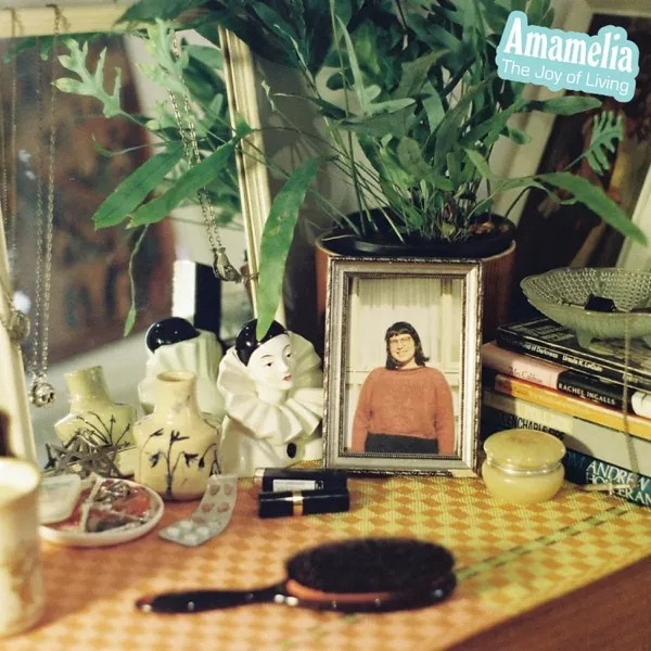 Amamelia - The Joy Of Living album cover